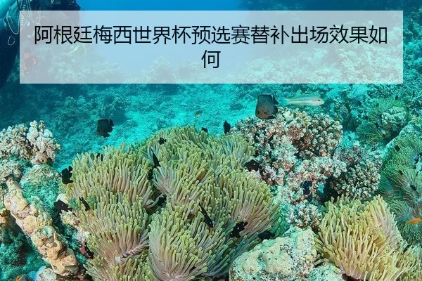 a-gen-ting-mei-xi-shi-jie-bei-yu-xuan-sai-ti-bu-chu-chang-xiao-guo-ru-he-2-231.jpg